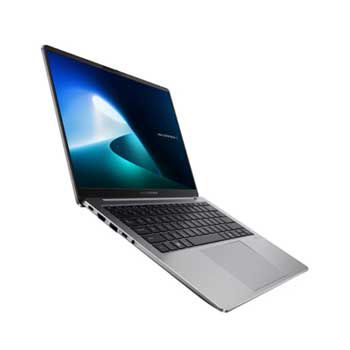 ASUS ExpertBook P5 5405CSA-NZ0450WS (Xám)